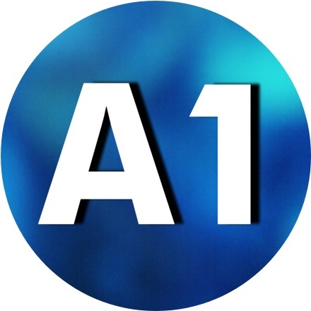 A1