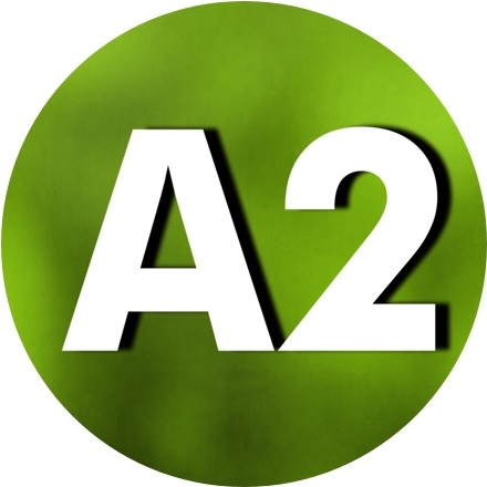 A2